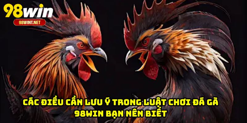 Luật Chơi Đá Gà 98WIN - Nền Tảng Quan Trọng Cho Hội Viên 4 Các điều cần lưu ý trong luật chơi đá gà 98WIN bạn nên biết