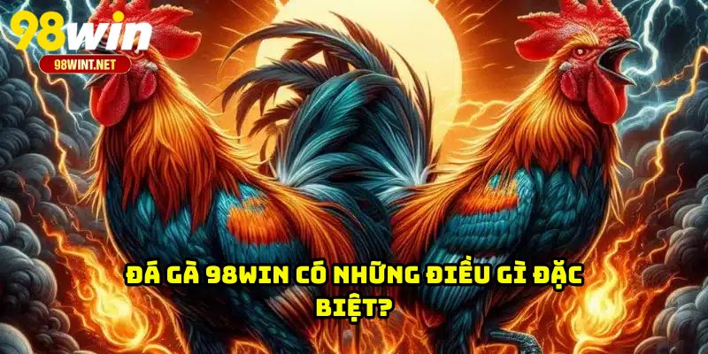 Đá gà 98WIN có những điều gì đặc biệt?