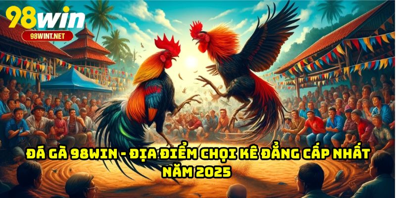 Đá Gà 98WIN - Địa Điểm Chọi Kê Đẳng Cấp Nhất Năm 2025 