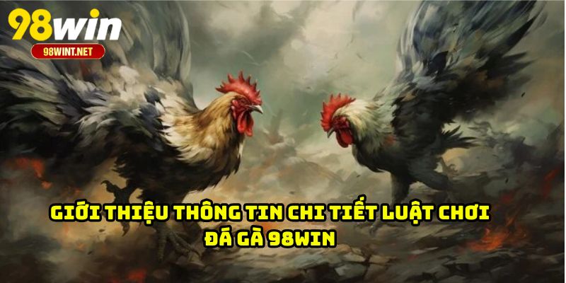 Luật Chơi Đá Gà 98WIN - Nền Tảng Quan Trọng Cho Hội Viên 1 Giới thiệu thông tin chi tiết luật chơi đá gà 98WIN