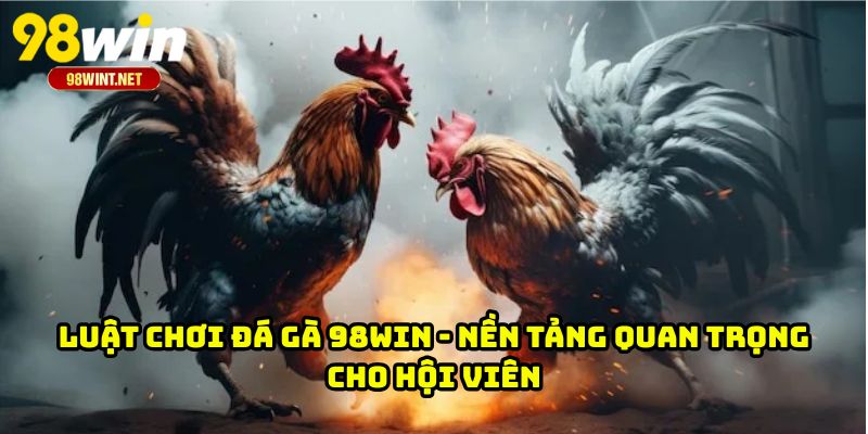 Luật Chơi Đá Gà 98WIN - Nền Tảng Quan Trọng Cho Hội Viên