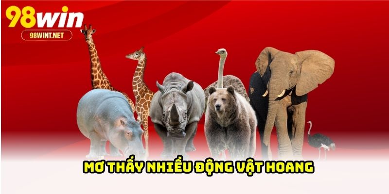 Mơ thấy nhiều động vật hoang