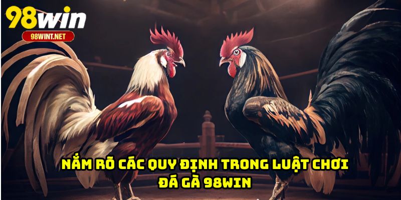 Luật Chơi Đá Gà 98WIN - Nền Tảng Quan Trọng Cho Hội Viên 2 Nắm rõ các quy định trong luật chơi đá gà 98WIN
