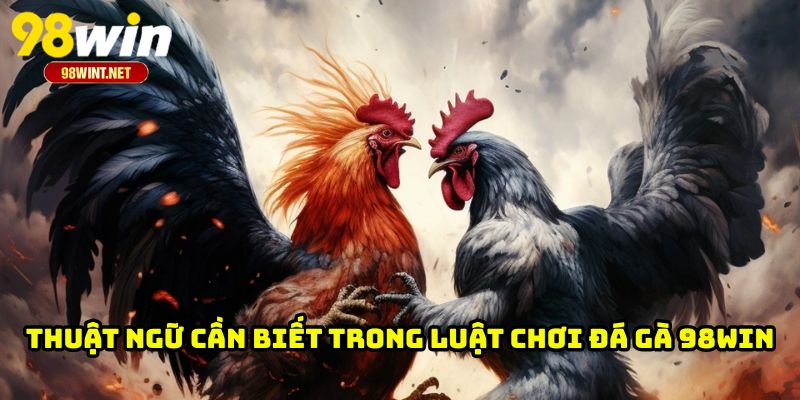 Luật Chơi Đá Gà 98WIN - Nền Tảng Quan Trọng Cho Hội Viên 3 Thuật ngữ cần biết trong luật chơi đá gà 98WIN