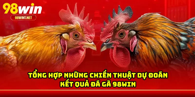 Tổng hợp những chiến thuật dự đoán kết quả đá gà 98WIN 