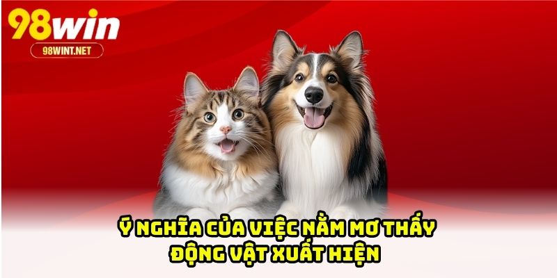 Ý nghĩa của việc nằm mơ thấy động vật xuất hiện 